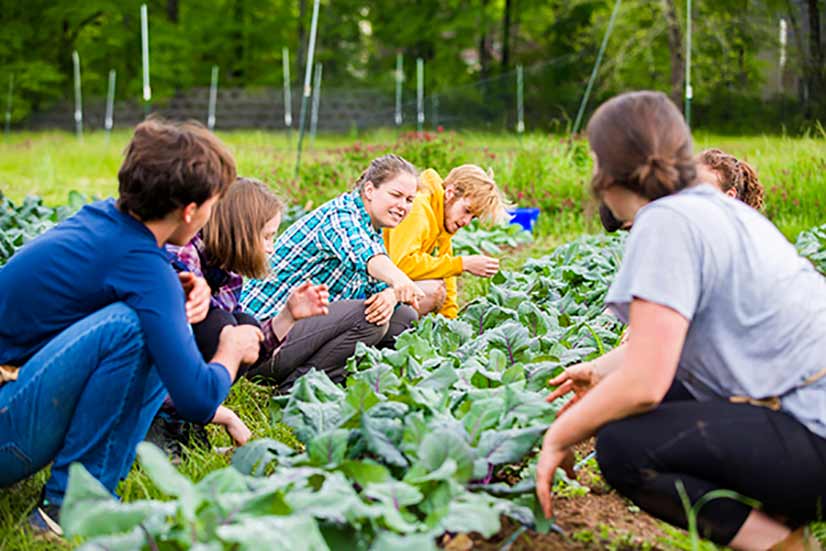 Oxford’s organic farmers