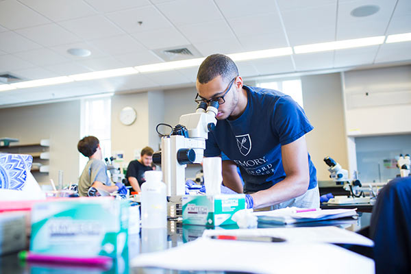 A student uses a microscope in the biology lab.