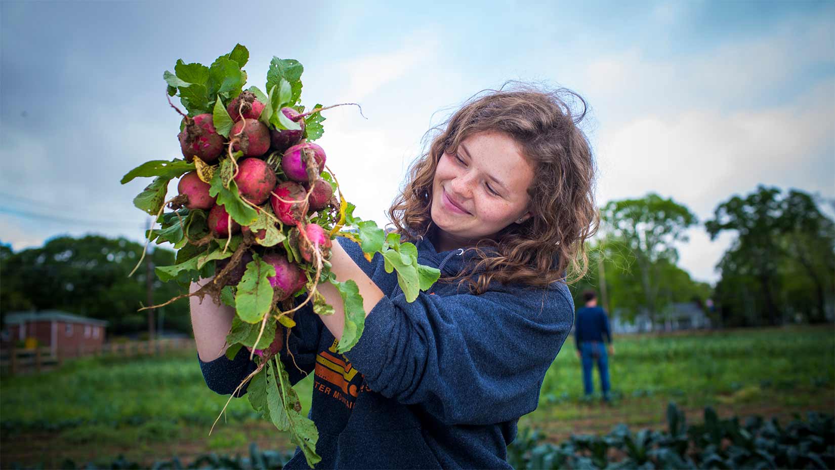 Gratia Sullivan unearths a bunch of radishes destined for the campus kitchens and community consumers.