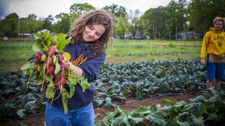Gratia Sullivan unearths a bunch of radishes at the Oxford Organic Farm.
