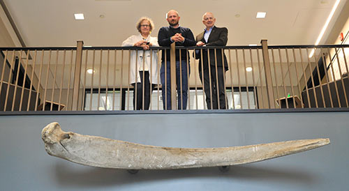 Eloise Carter, Nick Pyenson and Tony Kimbrell with the historic whale bone