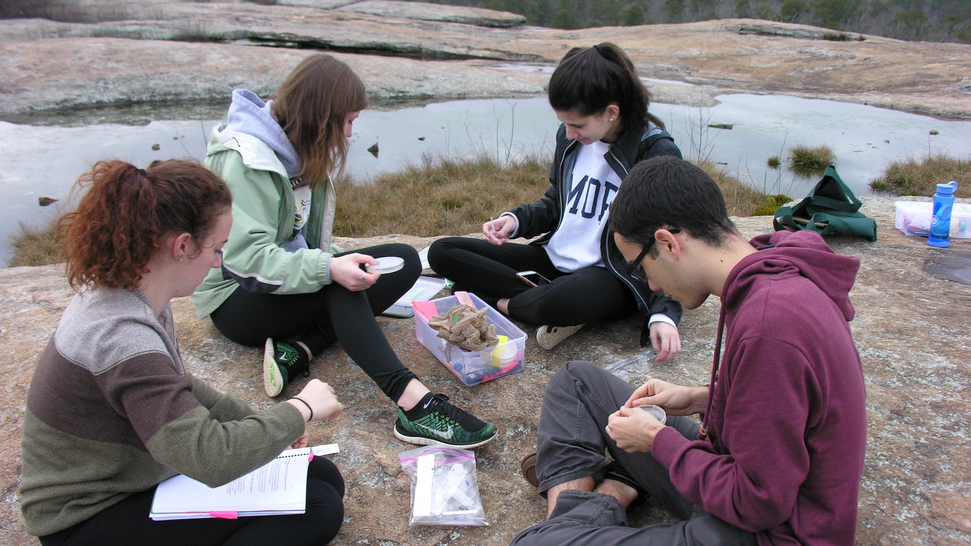 Students collecting samples on Arabia Mountain
