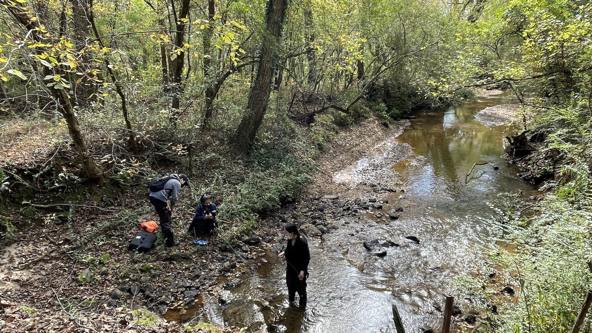 Students collecting samples