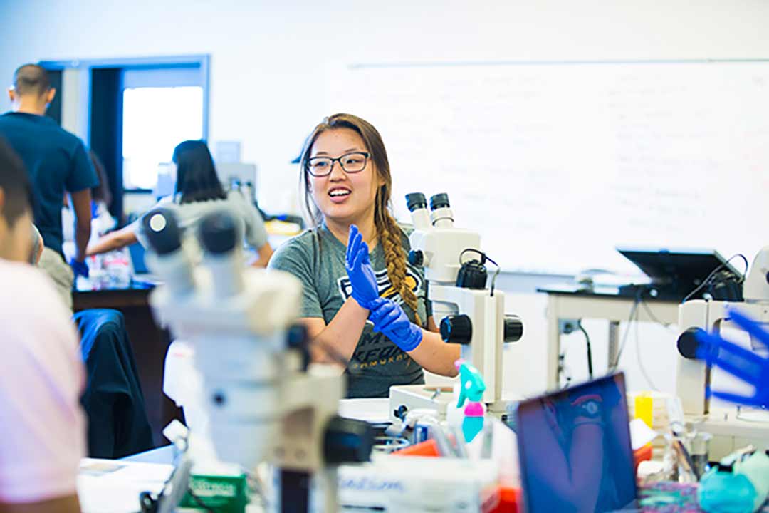 A student works in the biology lab.